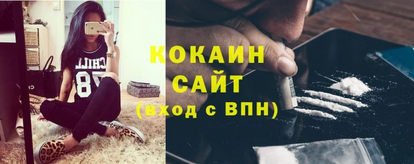 крисы Вязники