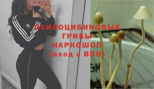 прущие крисы Верея