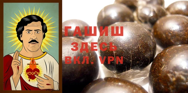 прущие грибы Волоколамск