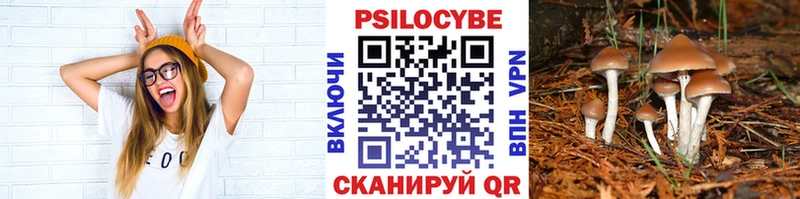 KRAKEN ONION  купить  сайты  Зеленокумск  Галлюциногенные грибы GOLDEN TEACHER 